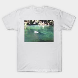 Manatees Swimming at Blue Springs State Park Florida T-Shirt